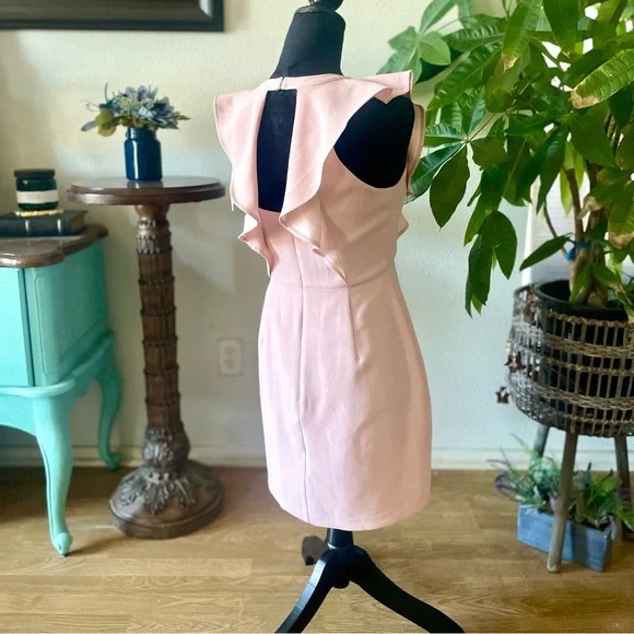 NWT BCBGeneration Cutout Ruffled Mini Sheath Dress Pink Rose Smoke Size 4 - Picture 6 of 9